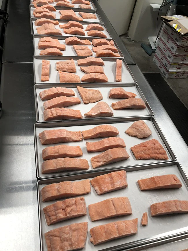 Freeze Dried Uncooked Wild Caught US Salmon Filets - Image 4