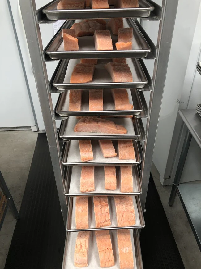 Freeze Dried Uncooked Wild Caught US Salmon Filets - Image 5