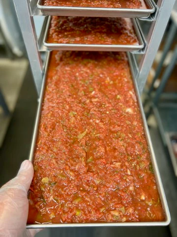 Freeze Dried Fresh Salsa - Image 5