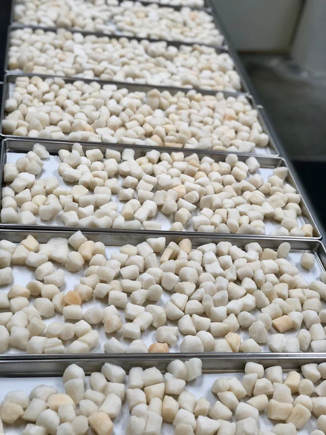 Freeze Dried Scallops - Image 4