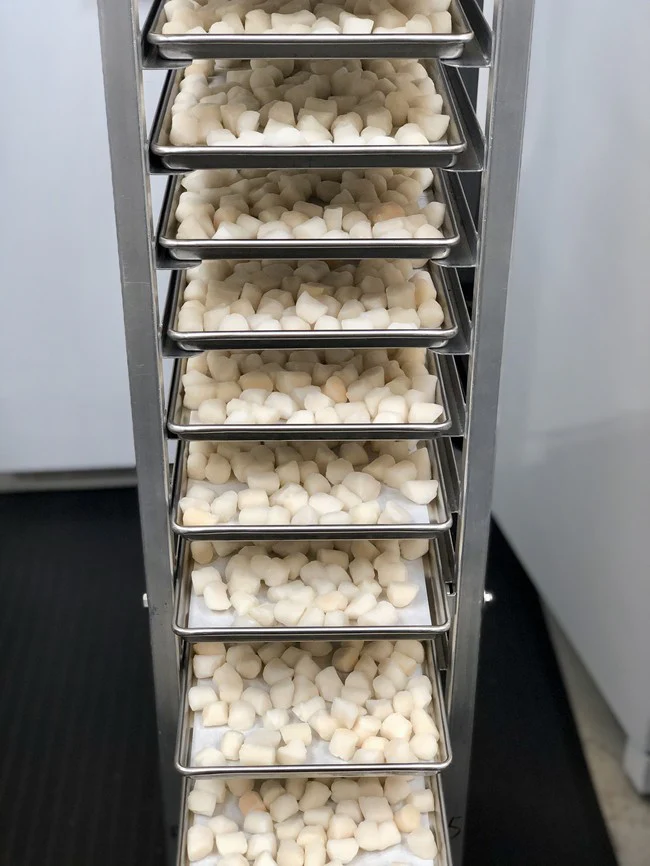 Freeze Dried Scallops - Image 5