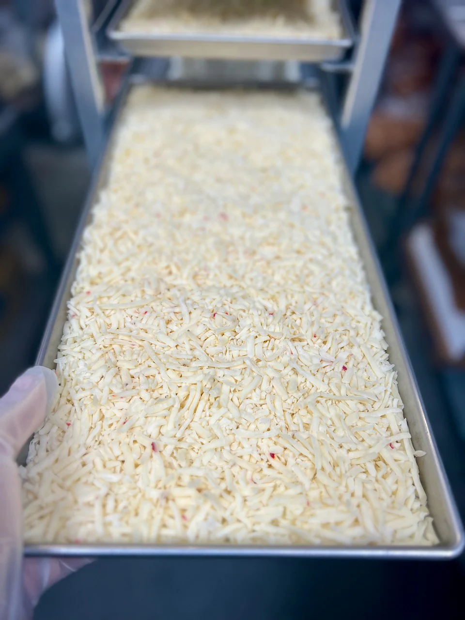 Freeze Dried Shredded Pepper Jack Cheese - Image 6