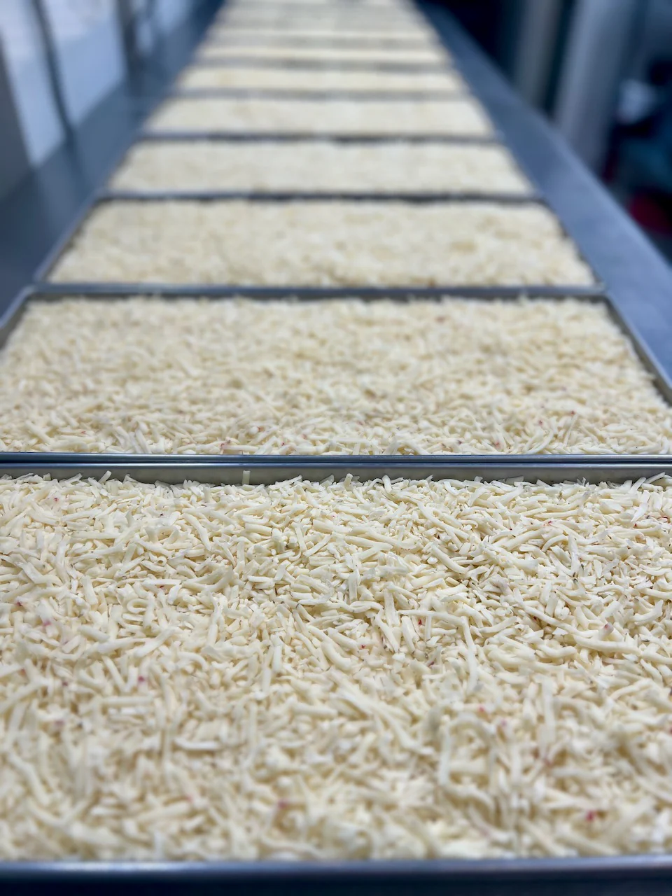 Freeze Dried Shredded Pepper Jack Cheese - Image 7