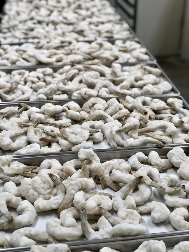 Freeze Dried Raw Peeled & Deveined Shrimp - Image 4