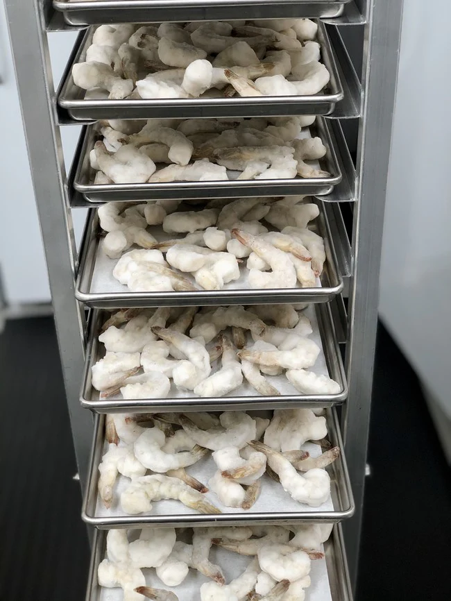 Freeze Dried Raw Peeled & Deveined Shrimp - Image 5