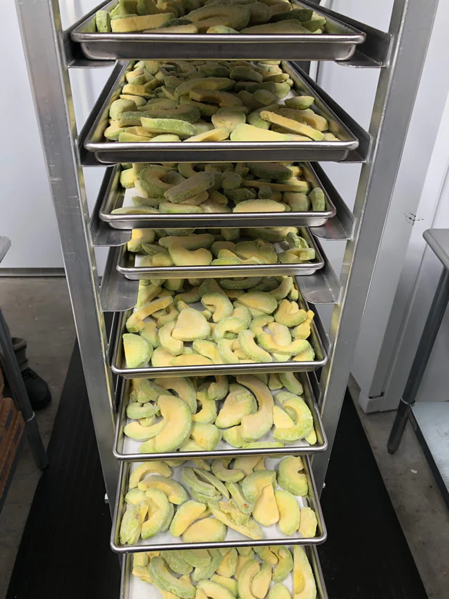 Freeze Dried Sliced Fresh Avocado - Image 5