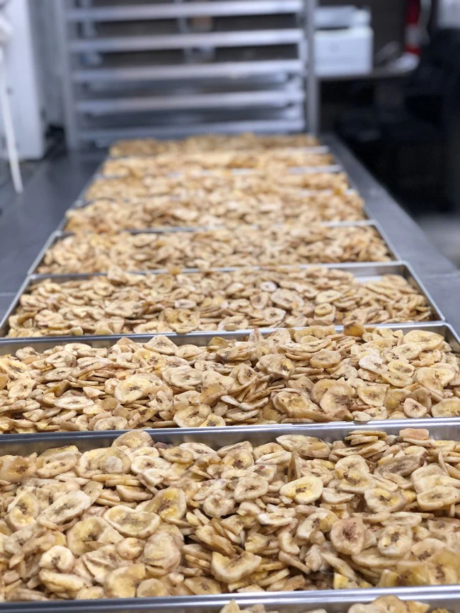 Freeze Dried Sliced Banana - Image 4