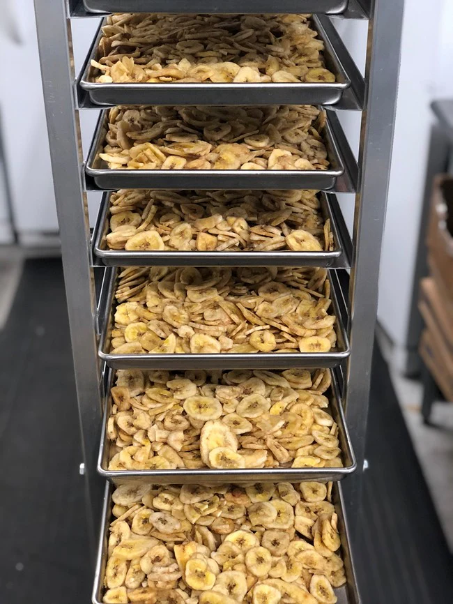 Freeze Dried Sliced Banana - Image 5