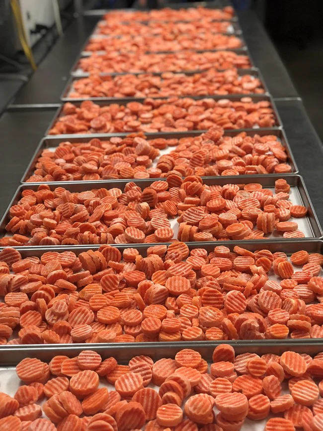 Freeze Dried Sliced Carrots - Image 4