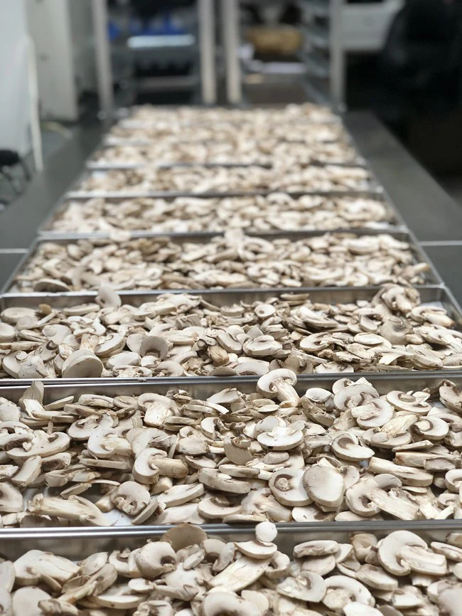 Freeze Dried Sliced White Mushrooms - Image 4