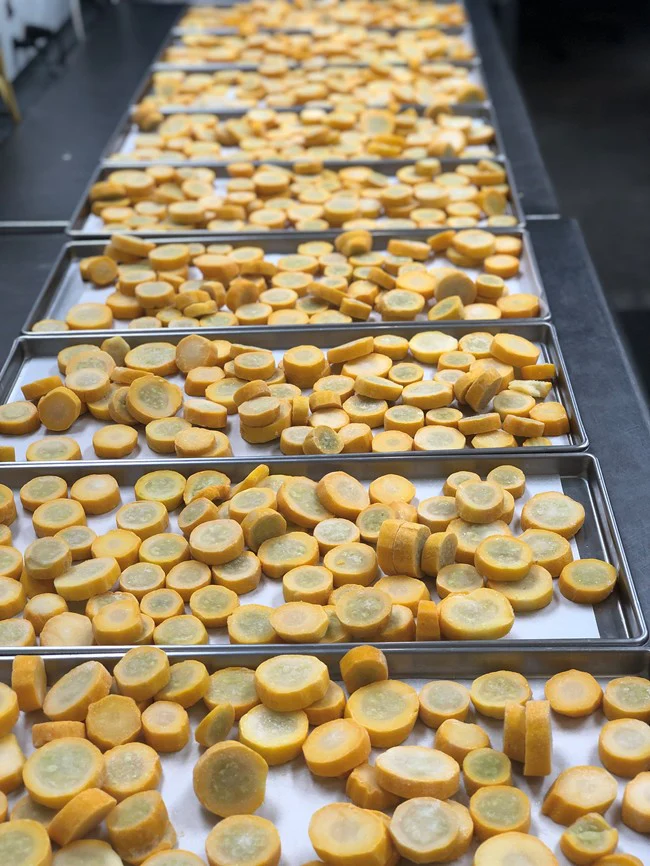 Freeze Dried Sliced Yellow Squash - Image 4