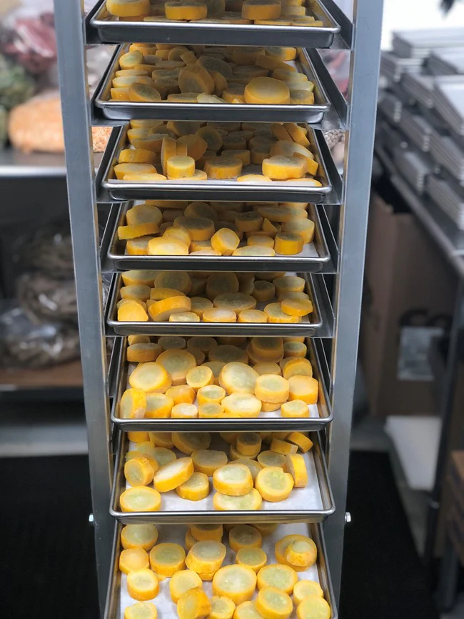 Freeze Dried Sliced Yellow Squash - Image 5
