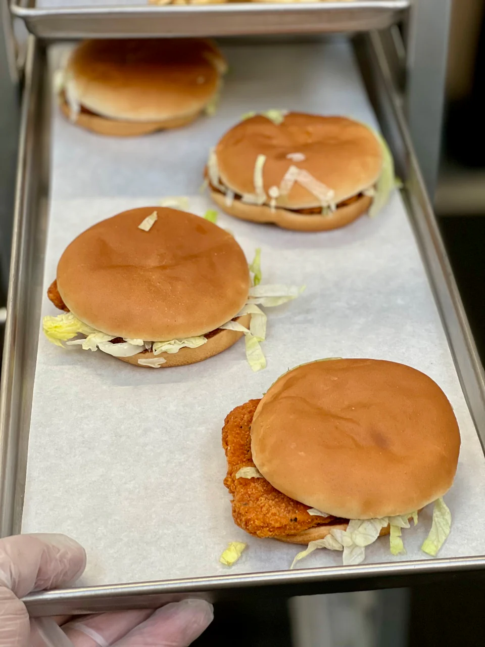 [Pre-Sale] Freeze Dried Spicy Chicken Sandwich - Image 3