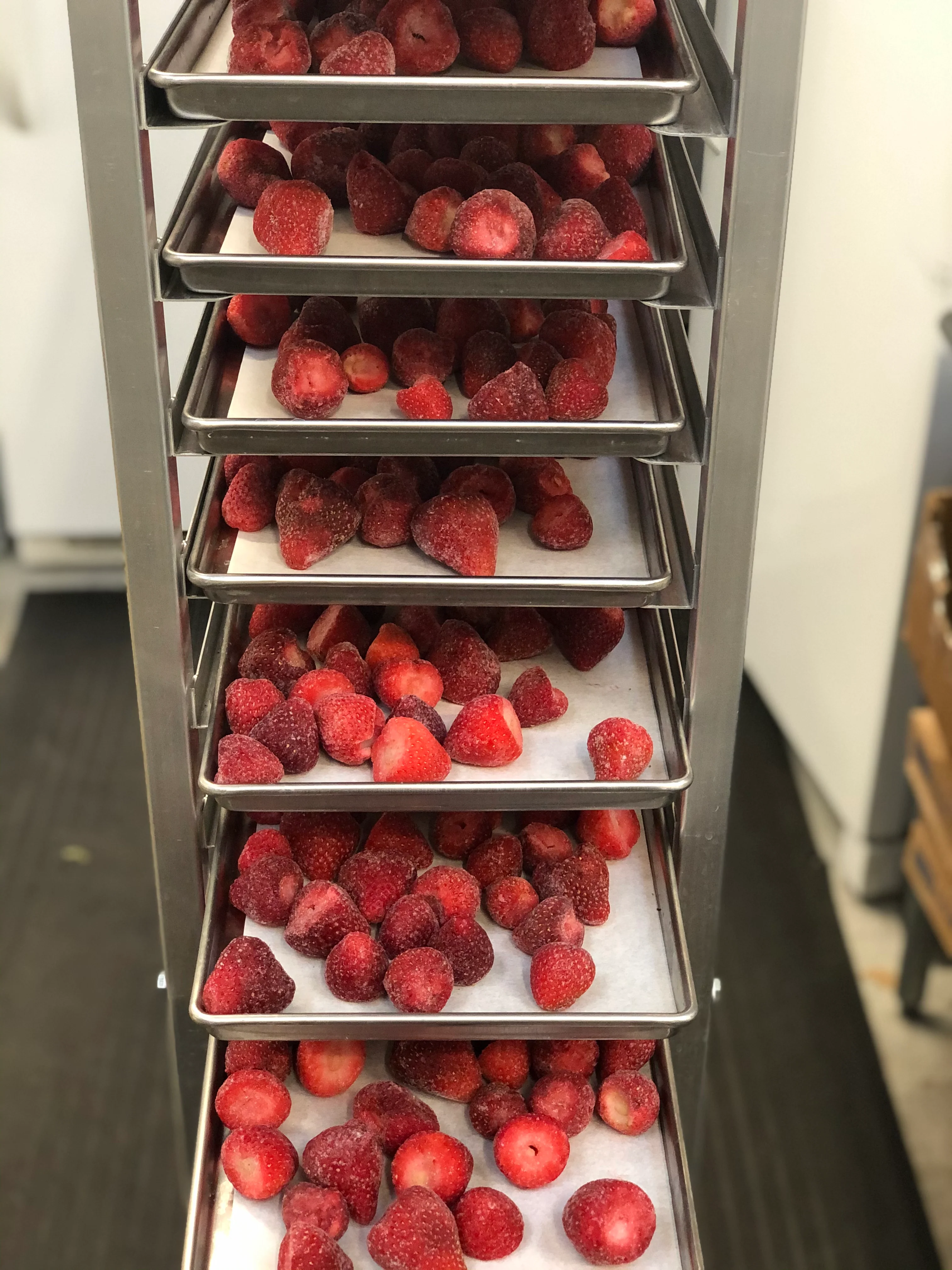 Freeze Dried Strawberries and Chocolate Cake Combo Box - Image 9