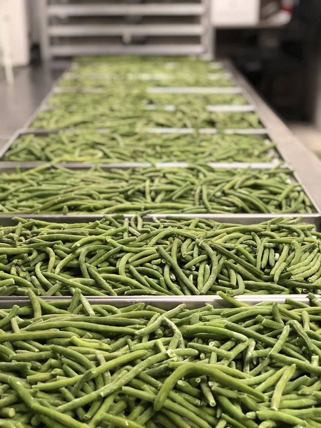 Freeze Dried String Beans - Image 4
