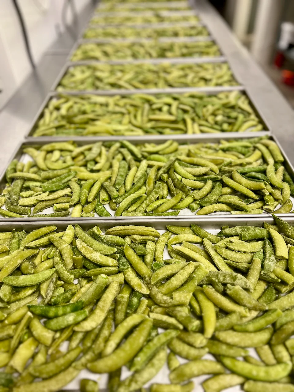 Freeze Dried Sugar Snap Peas - Image 5