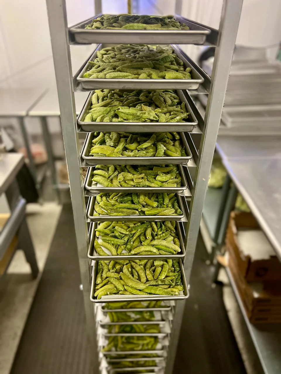 Freeze Dried Sugar Snap Peas - Image 6