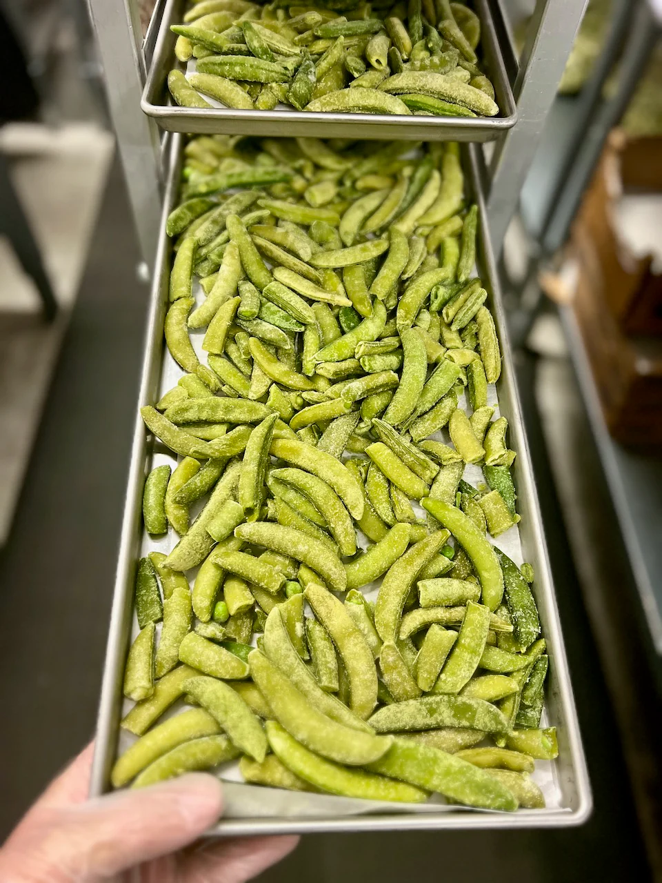 Freeze Dried Sugar Snap Peas - Image 7