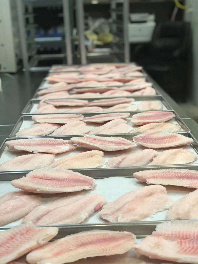 Freeze Dried Tilapia Filllets - Image 4