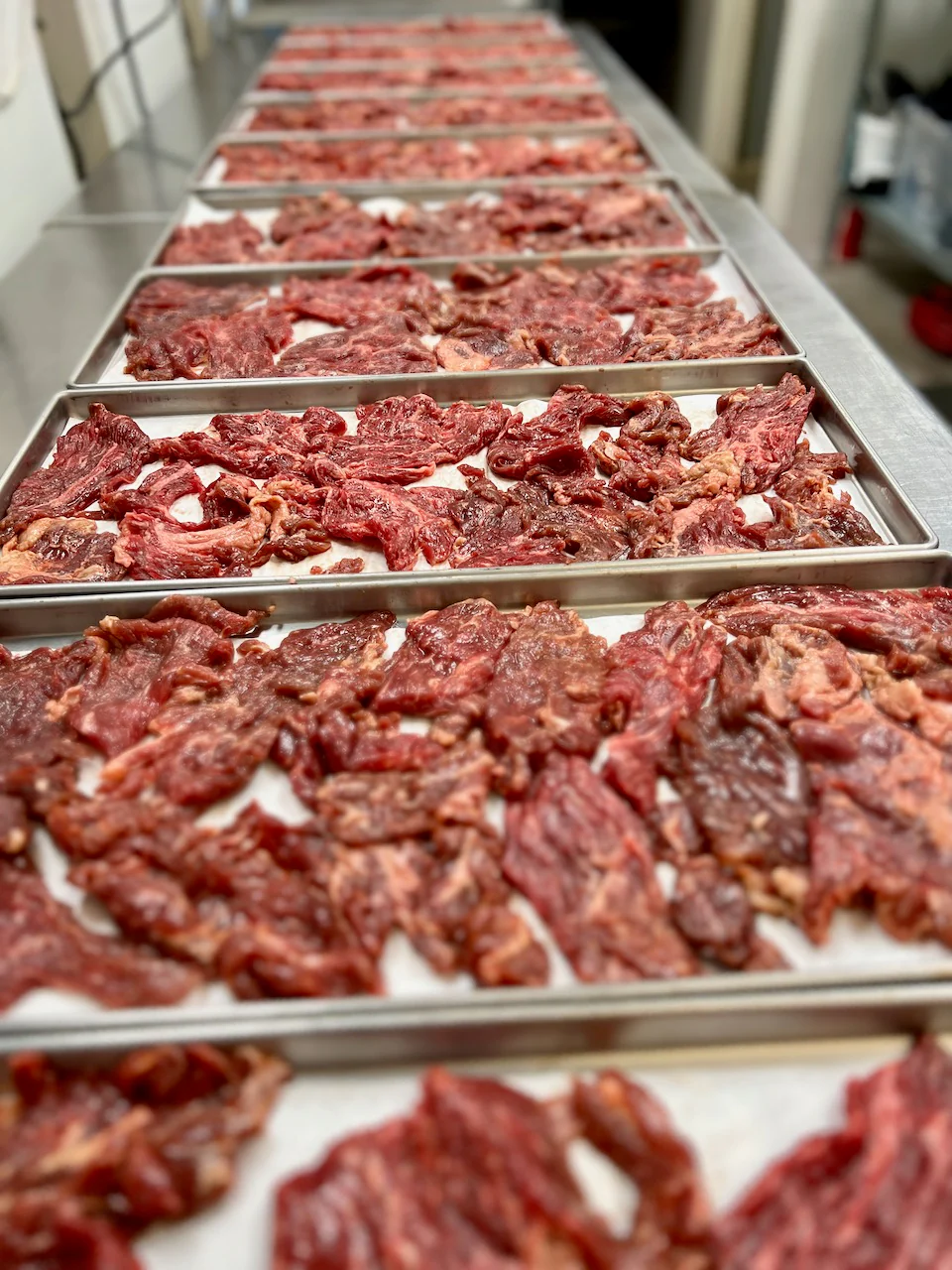 Freeze Dried Uncooked Carne Asada - Image 7