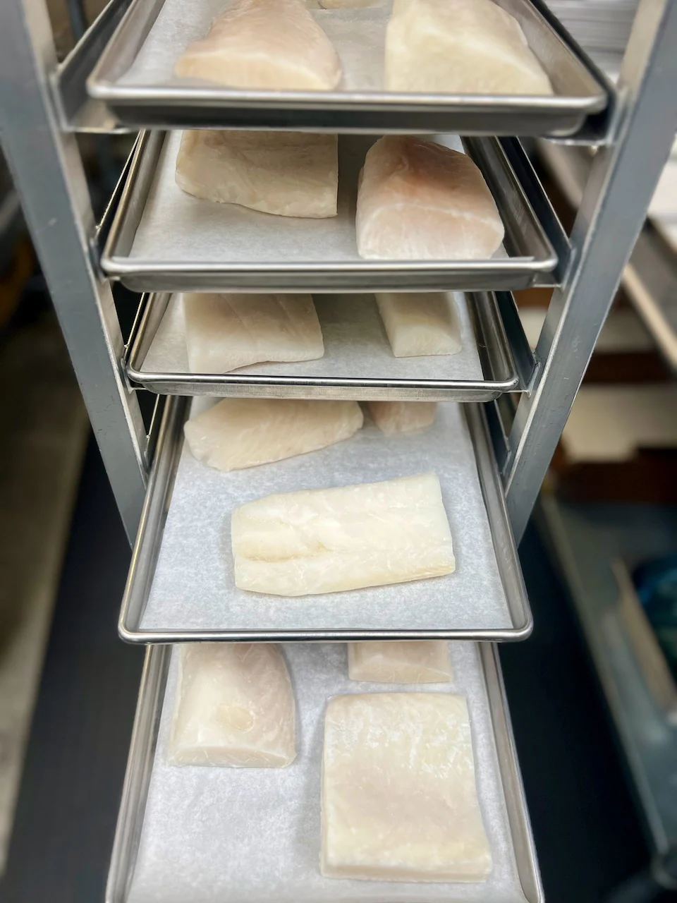 Freeze Dried Freshly Wild Caught Uncooked Chilean Sea Bass - Image 3