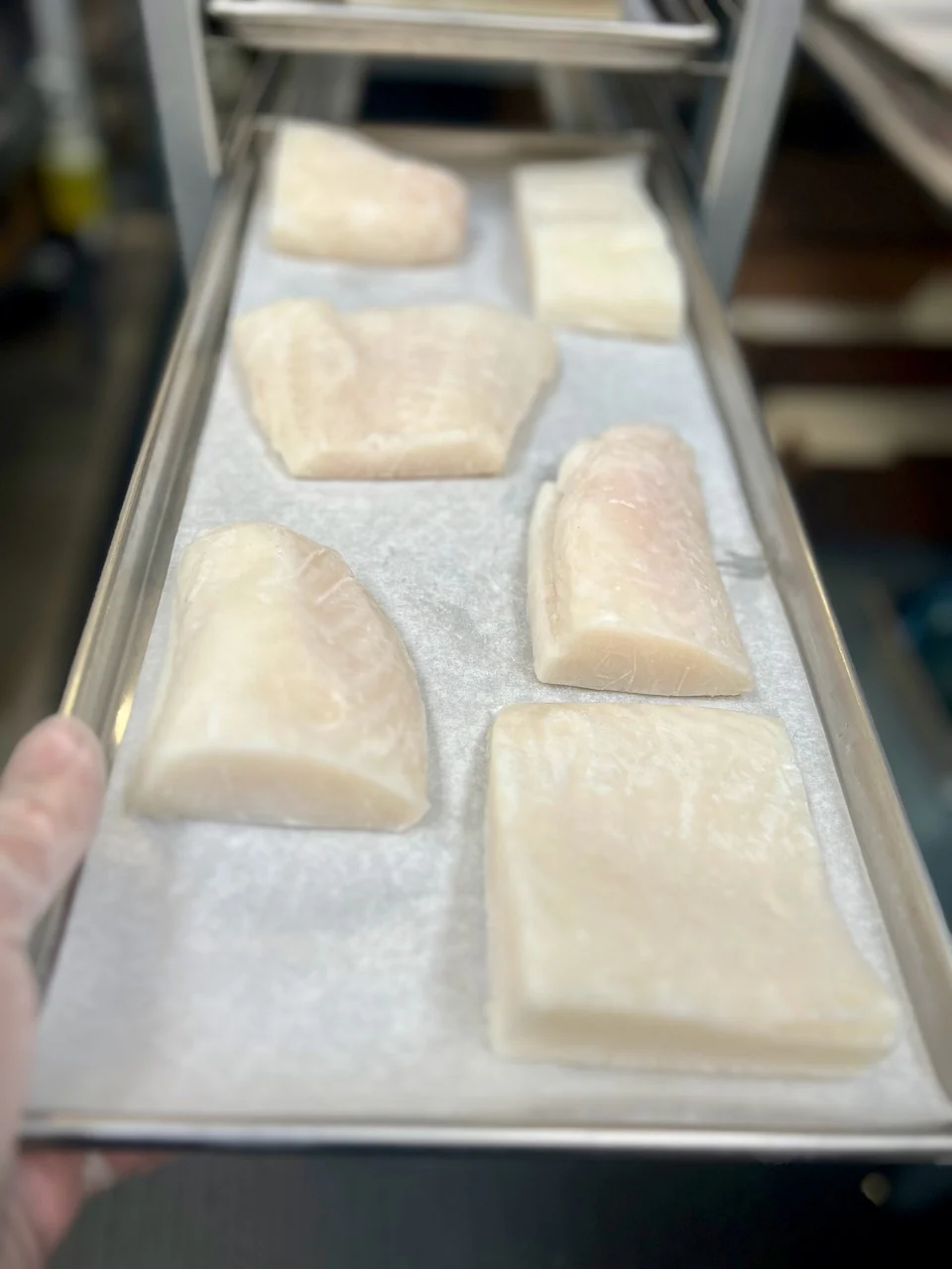 Freeze Dried Freshly Wild Caught Uncooked Chilean Sea Bass - Image 7