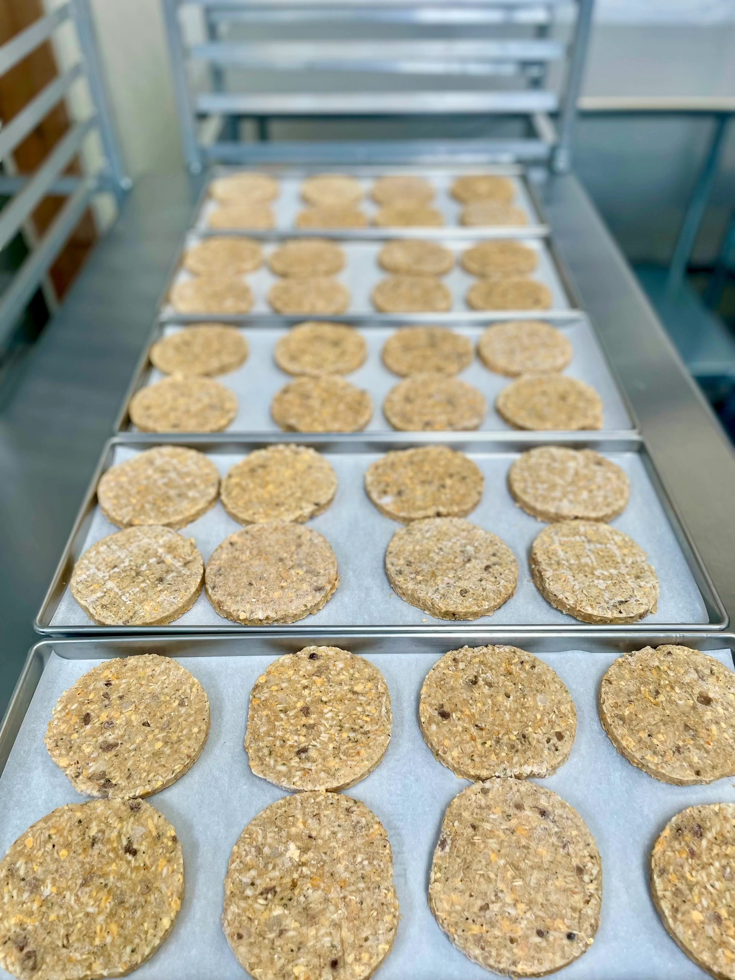 Freeze Dried Uncooked Garden Veggie Burger Patties - Image 6