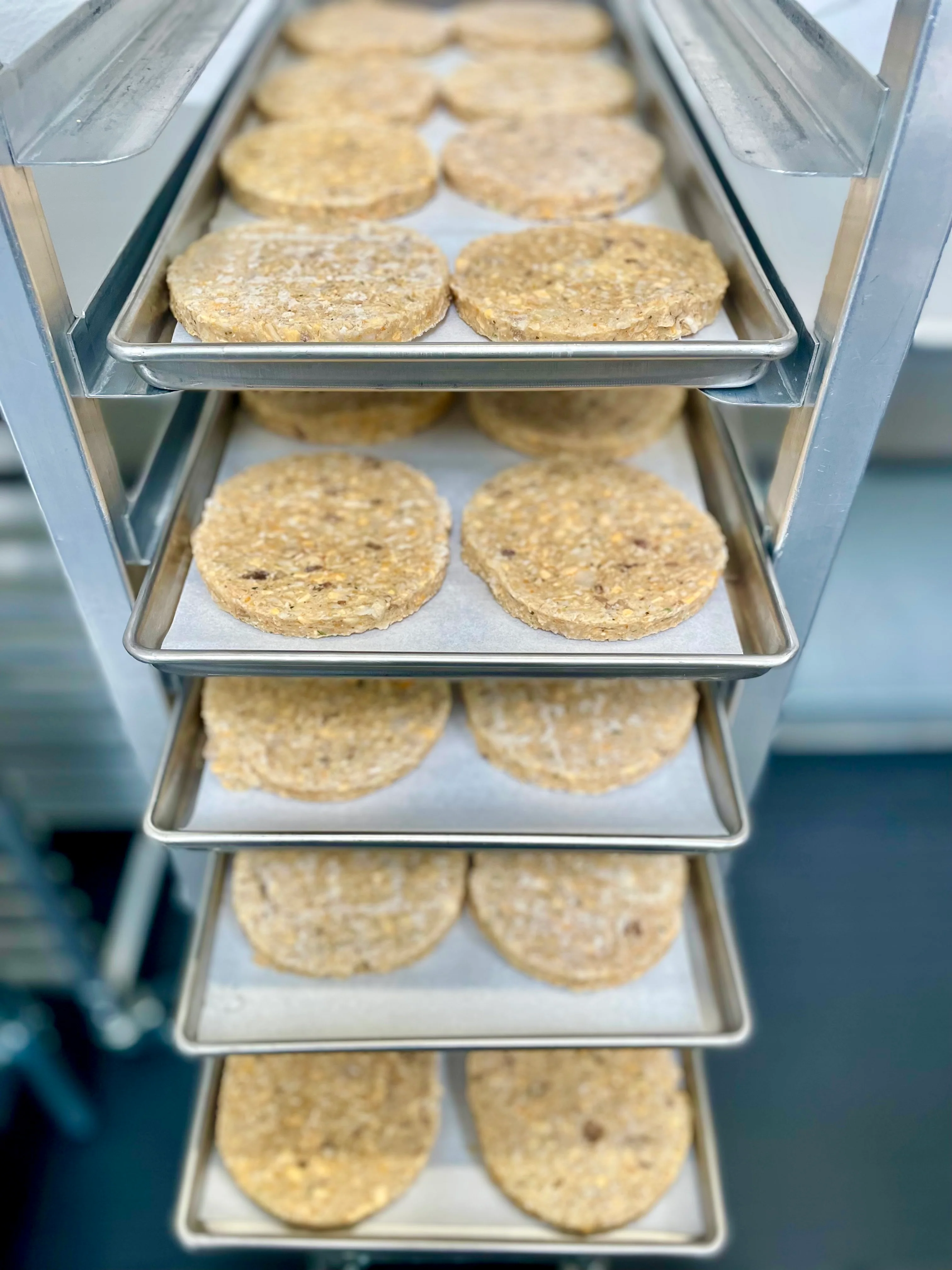 Freeze Dried Uncooked Garden Veggie Burger Patties - Image 7
