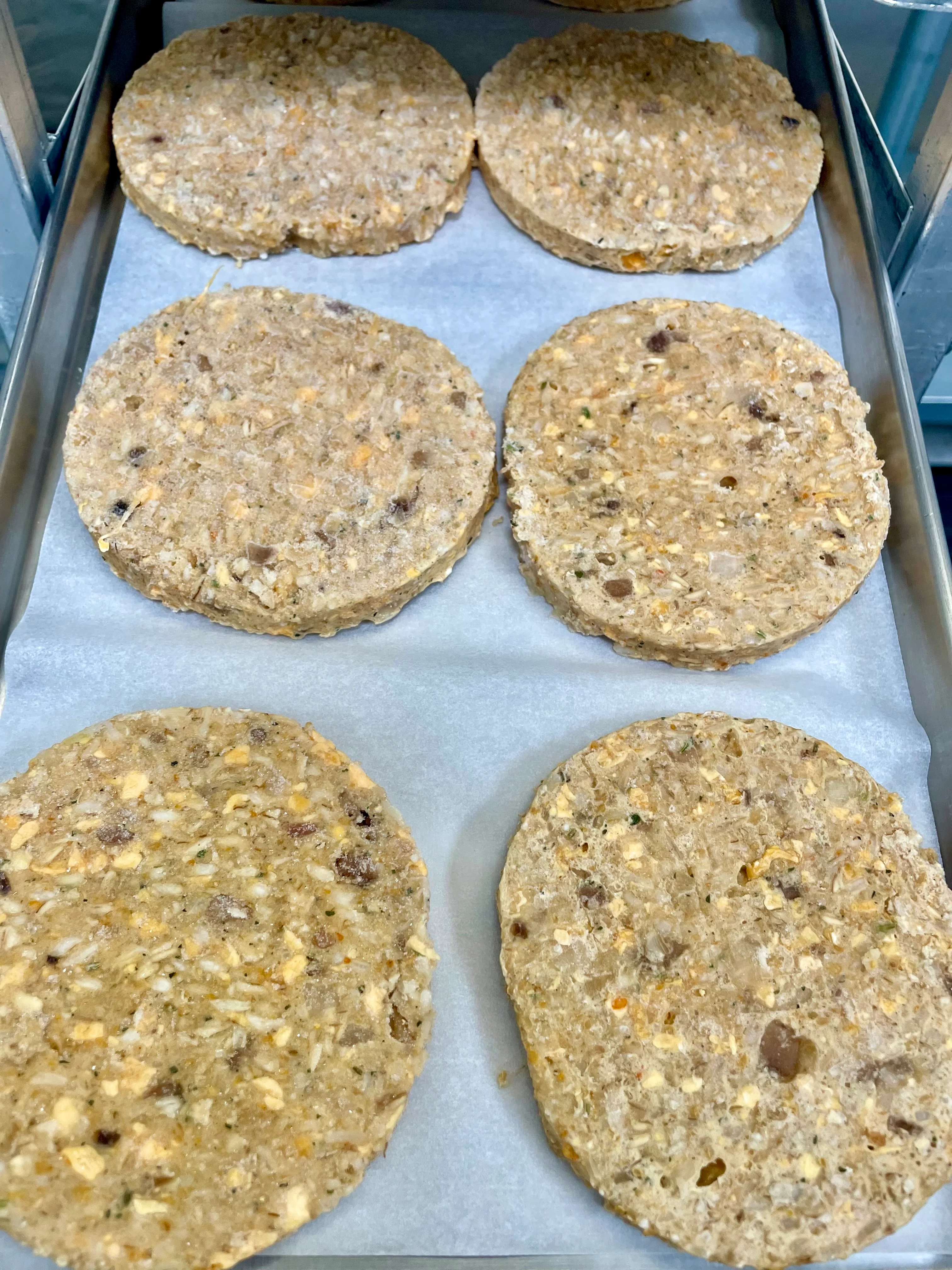 Freeze Dried Uncooked Garden Veggie Burger Patties - Image 8