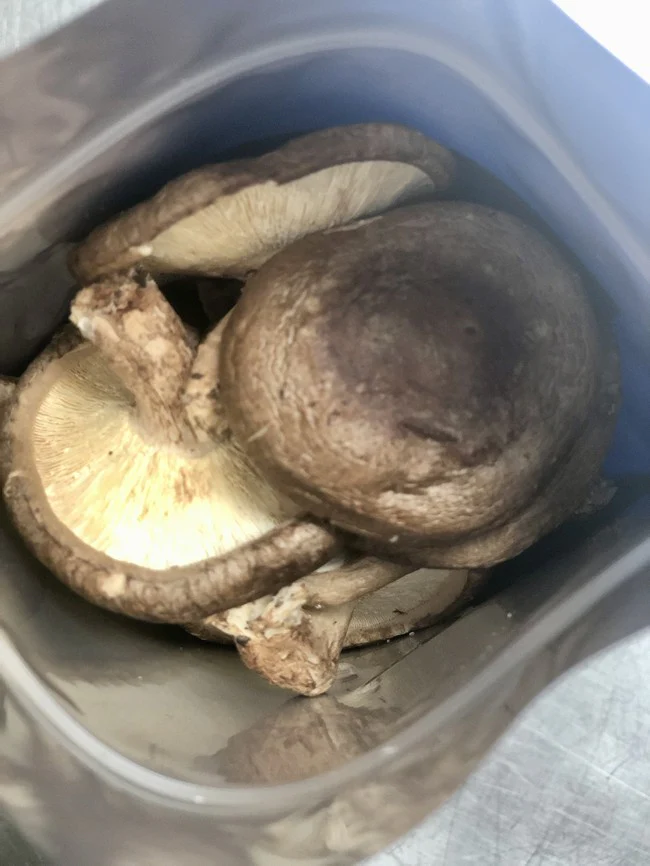 Freeze Dried Whole Shiitake Mushrooms - Image 3