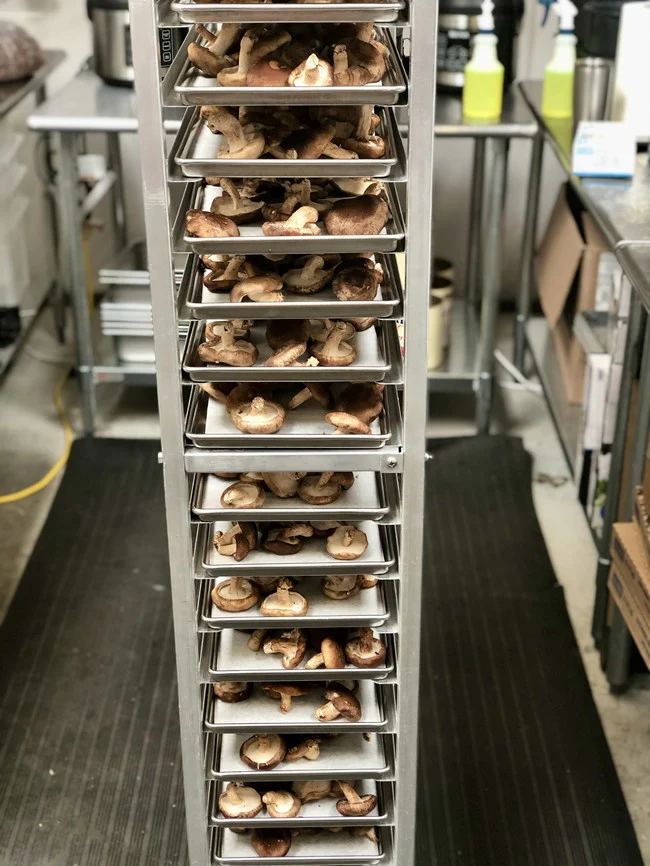 Freeze Dried Whole Shiitake Mushrooms - Image 5