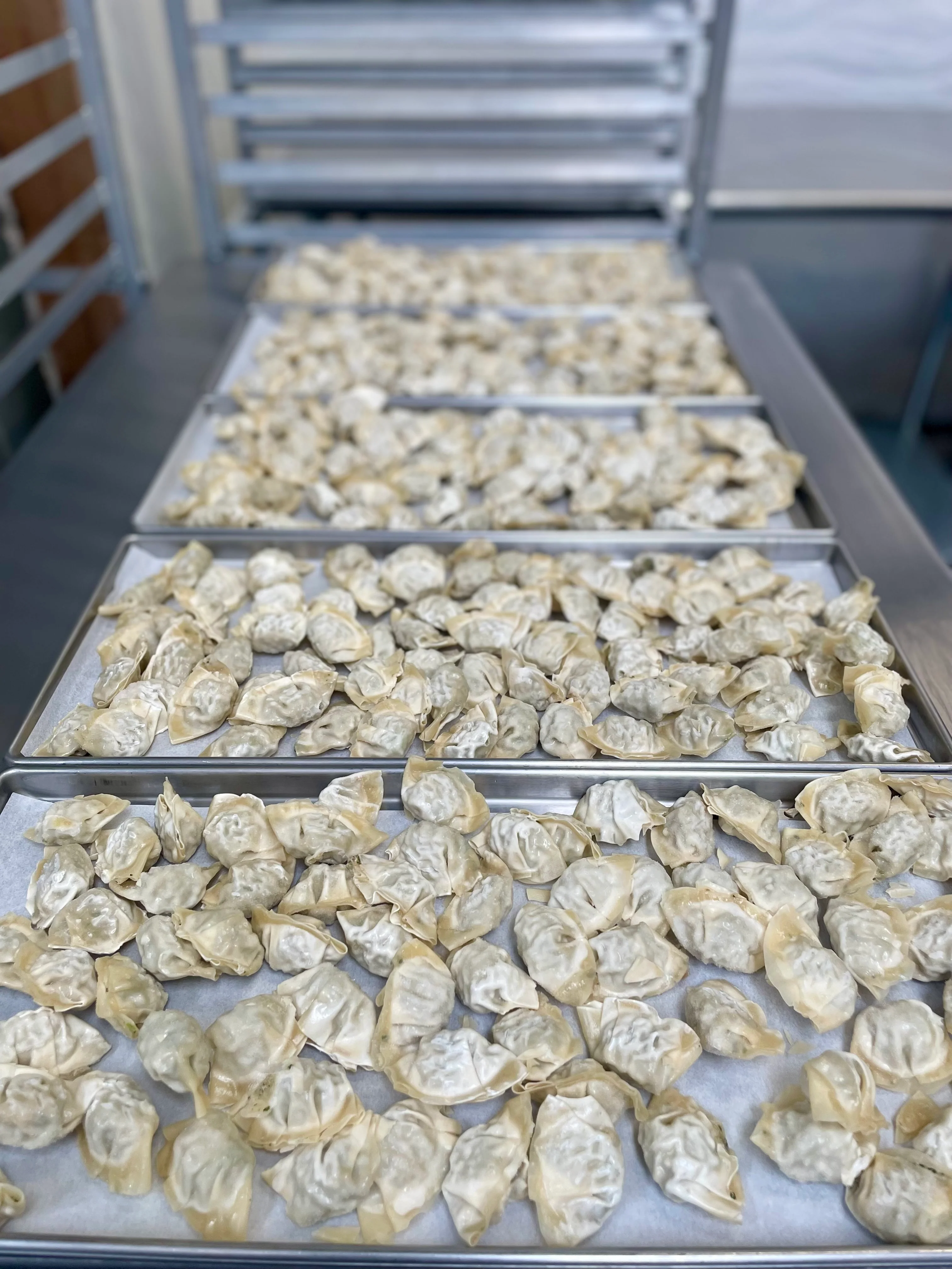 Freeze Dried Gourmet Fully Prepared Chicken and Cilantro Wontons - Image 5
