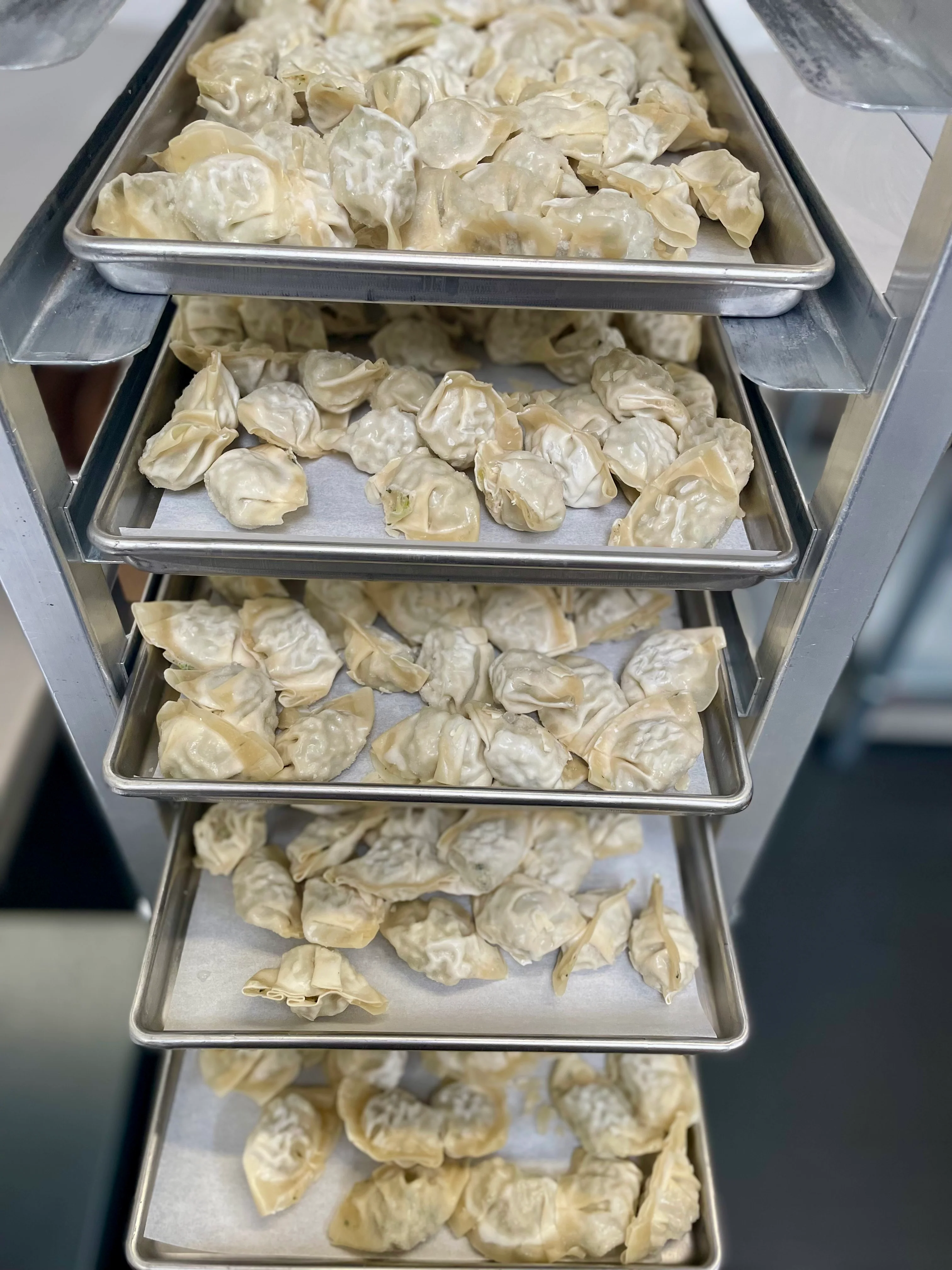 Freeze Dried Gourmet Fully Prepared Chicken and Cilantro Wontons - Image 6