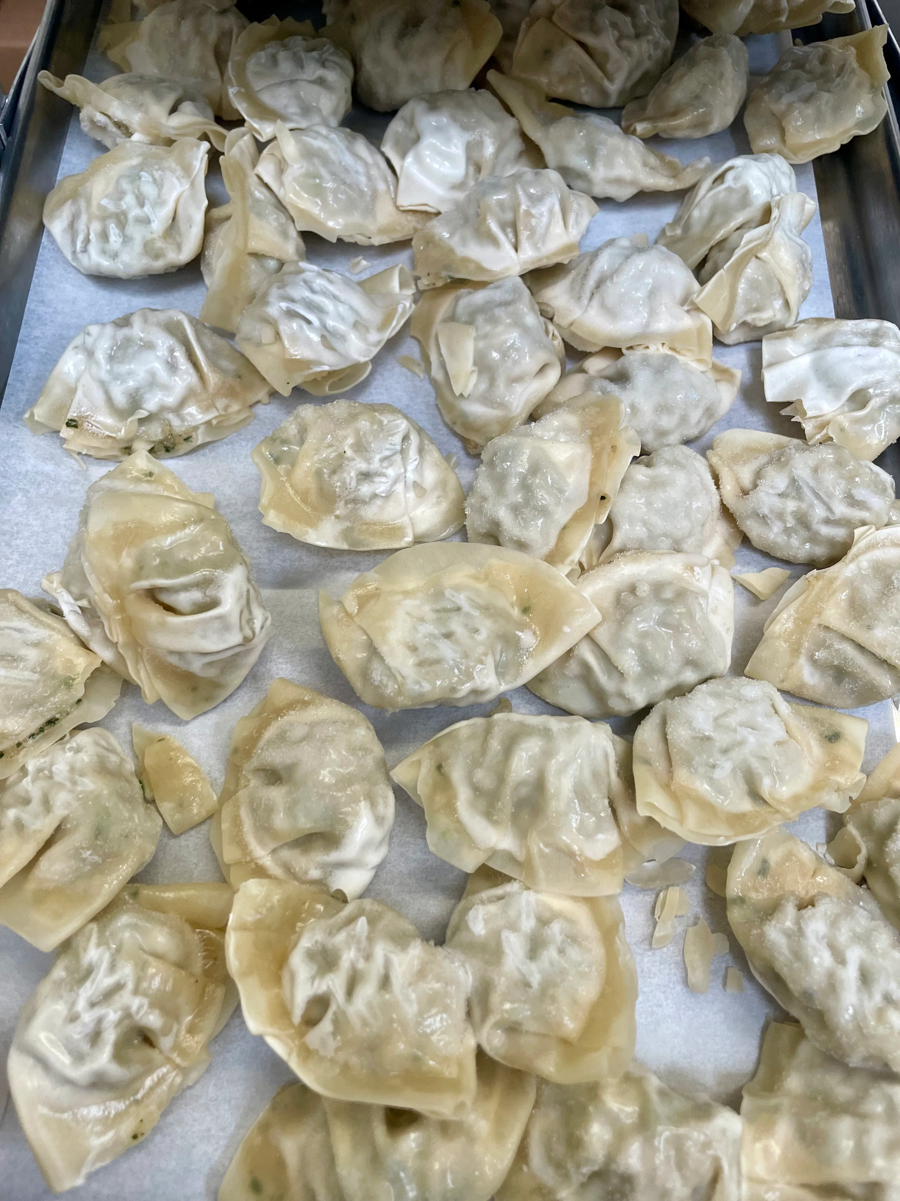 Freeze Dried Gourmet Fully Prepared Chicken and Cilantro Wontons - Image 7