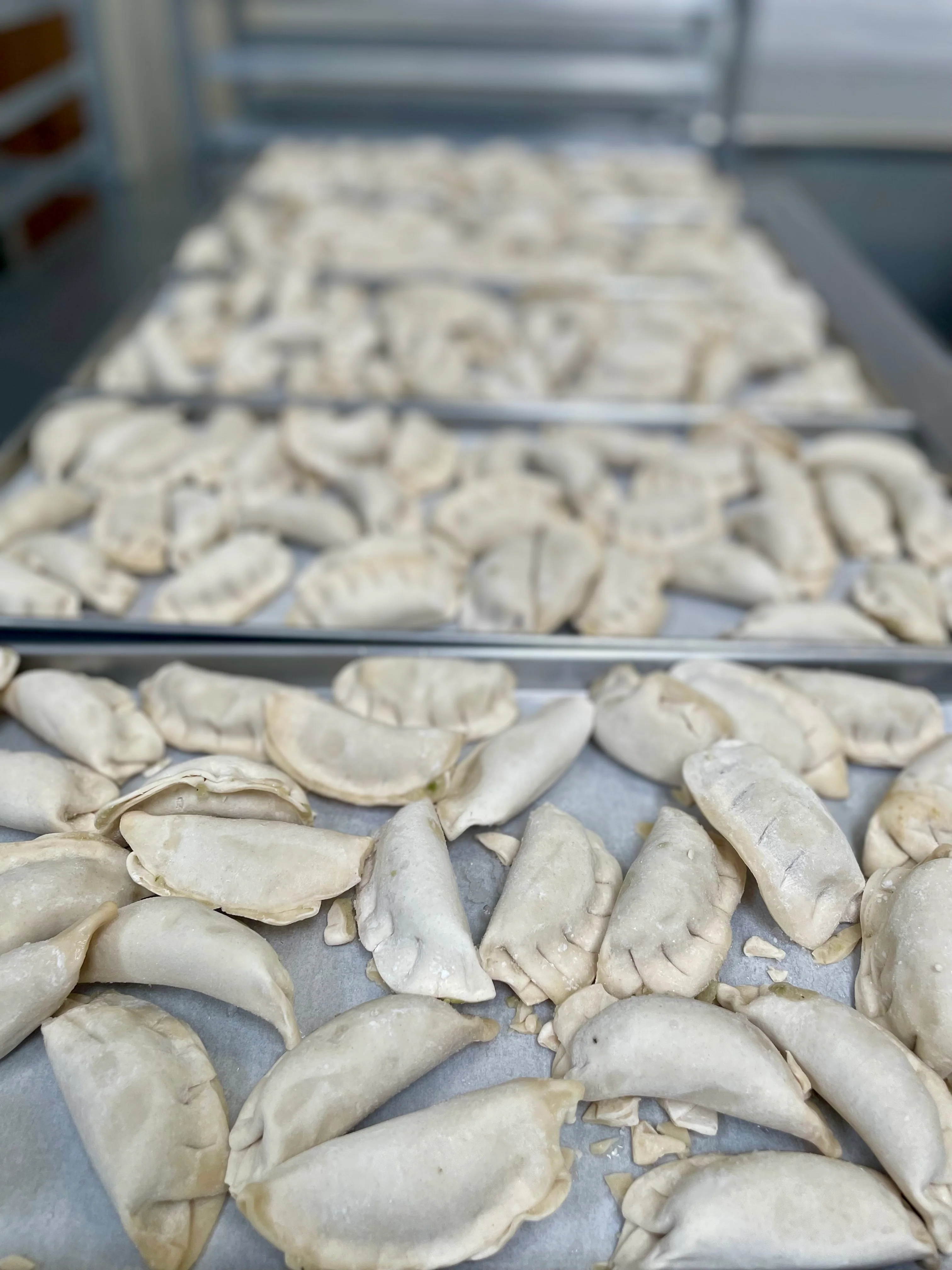 [LIMITED PRODUCTION] Freeze Dried Gourmet Fully Prepared Chicken and Vegetable Potstickers - Image 5
