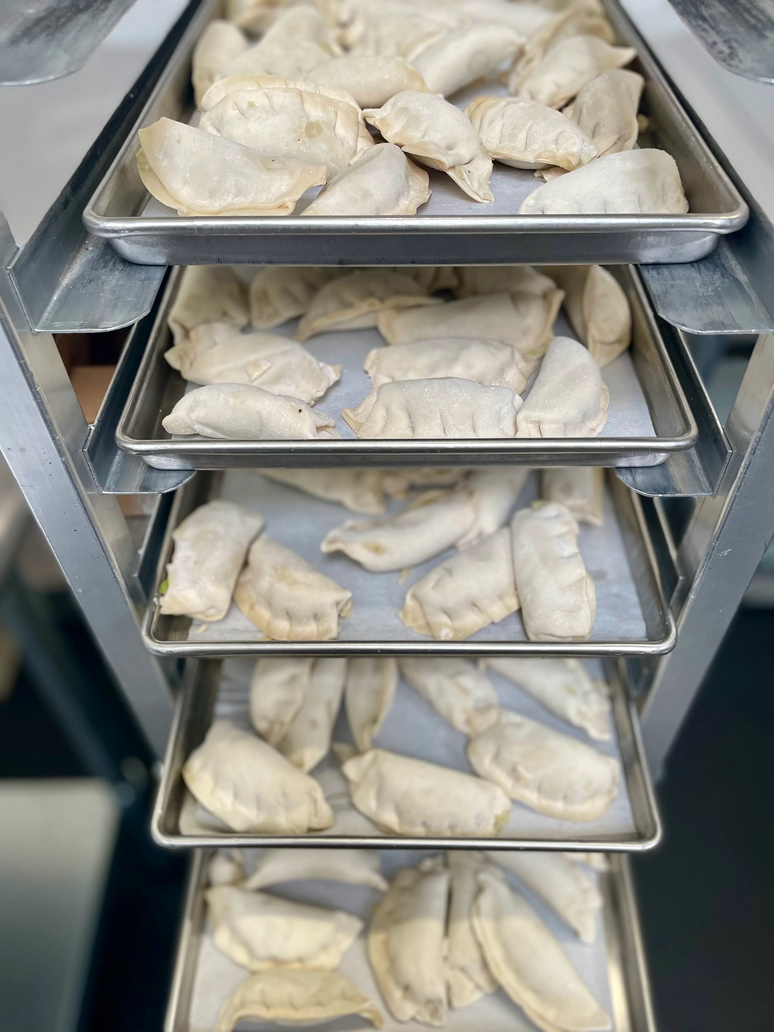 [LIMITED PRODUCTION] Freeze Dried Gourmet Fully Prepared Chicken and Vegetable Potstickers - Image 6