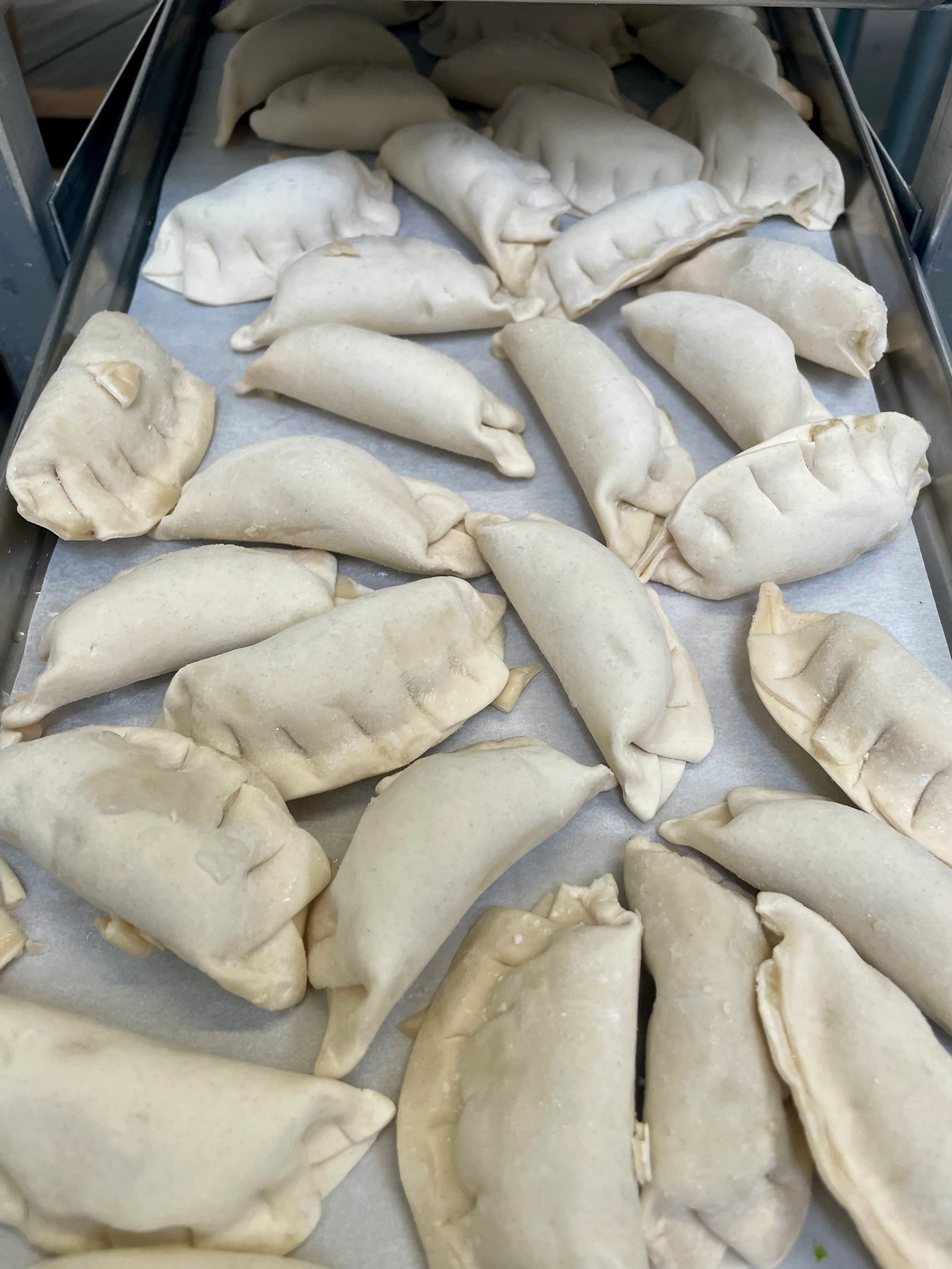 [LIMITED PRODUCTION] Freeze Dried Gourmet Fully Prepared Chicken and Vegetable Potstickers - Image 7