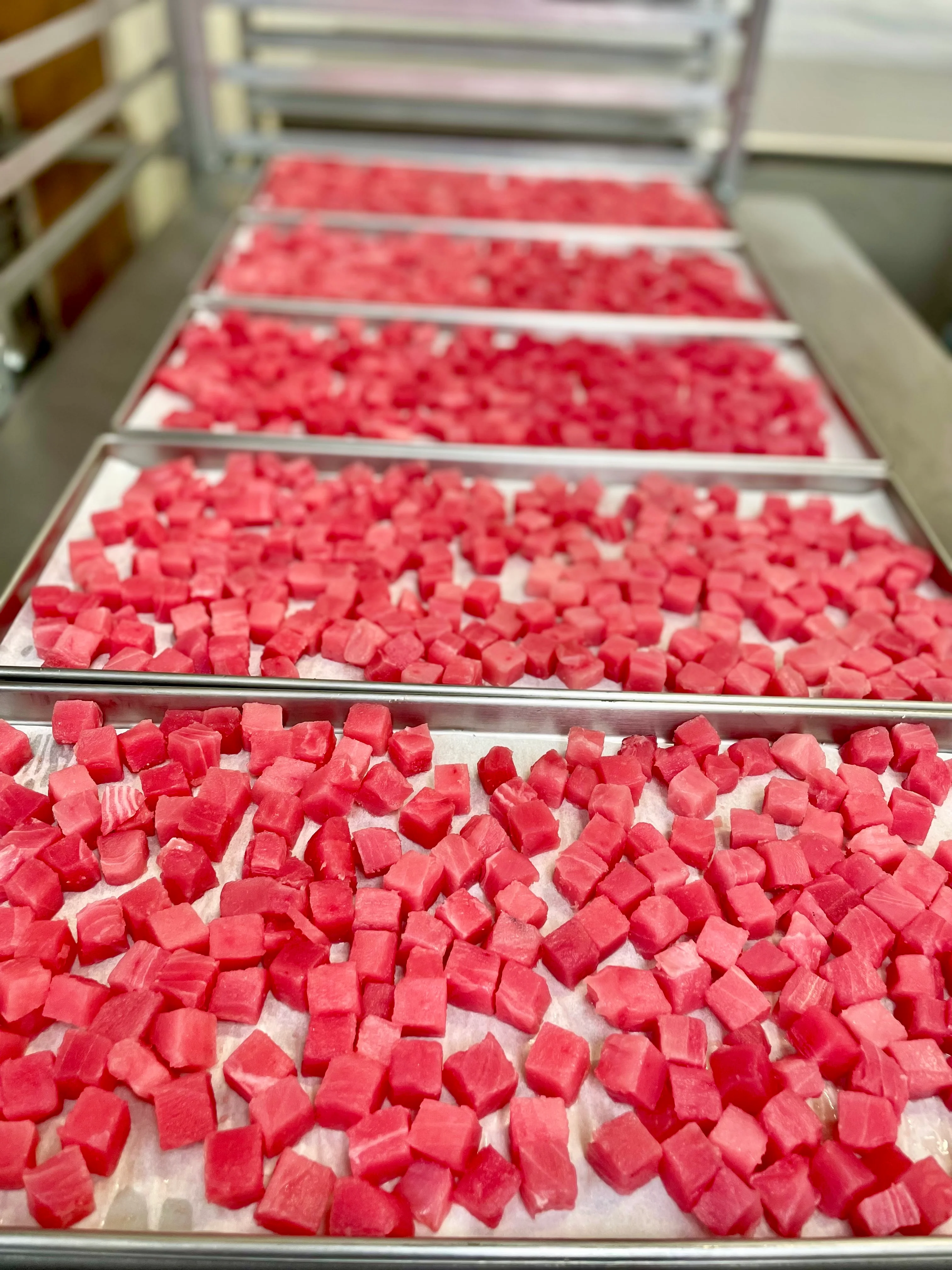 [LIMITED PRODUCTION] Freeze Dried Authentic Sushi Grade Ahi Tuna Poke - Image 5