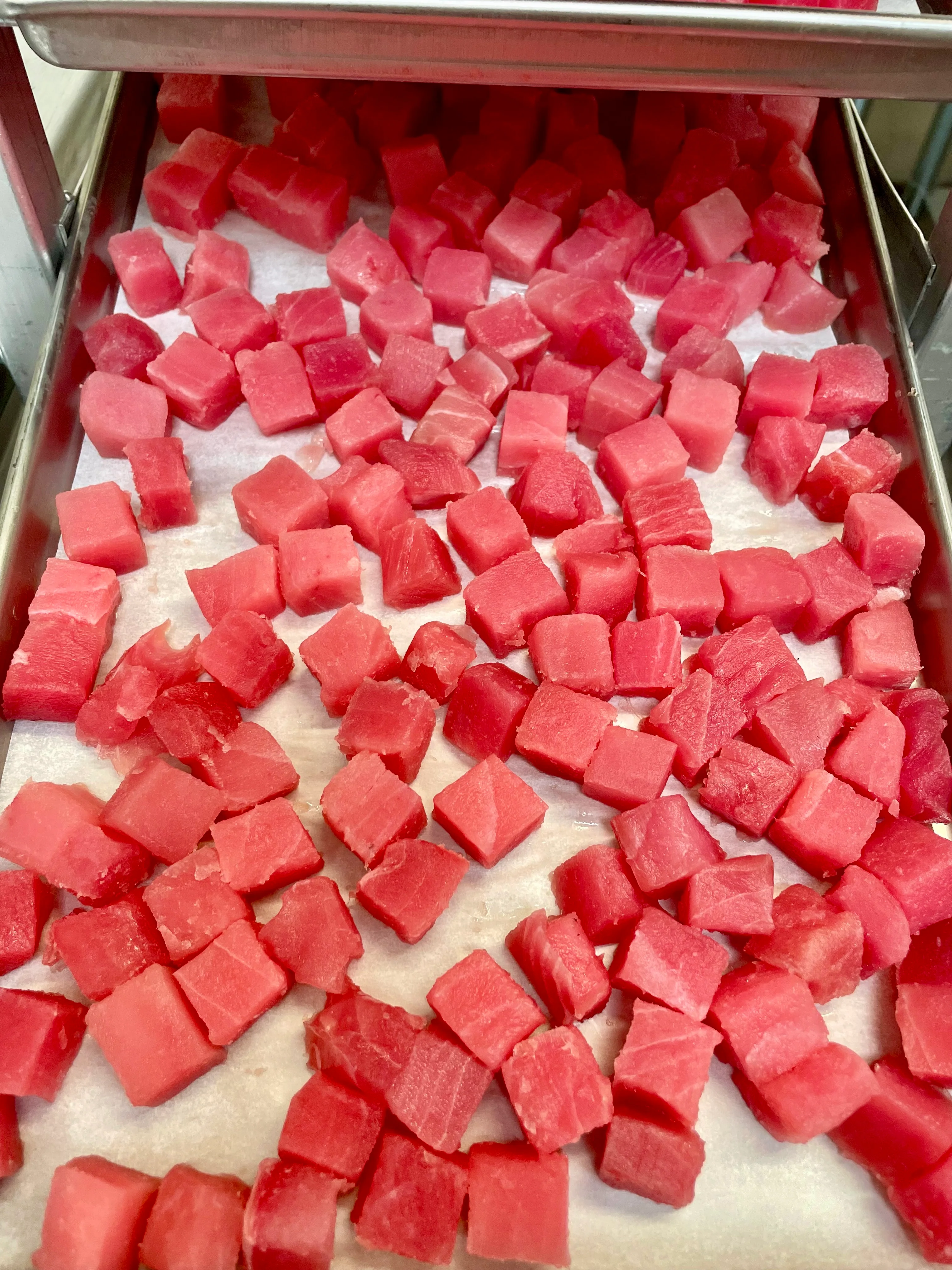 [LIMITED PRODUCTION] Freeze Dried Authentic Sushi Grade Ahi Tuna Poke - Image 7