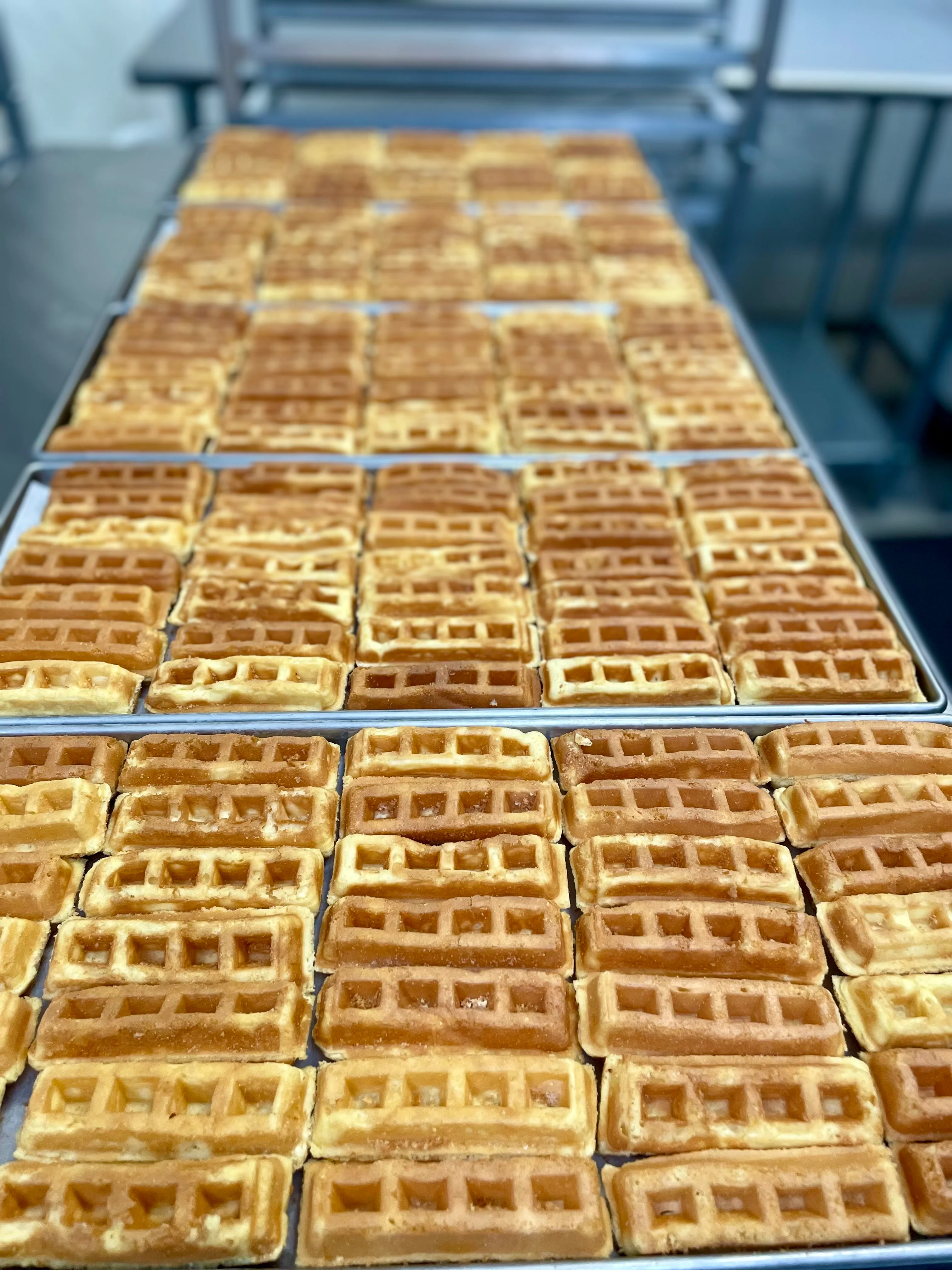 [LIMITED PRODUCTION] Freeze Dried Fully Cooked Belgian Waffle Sticks - Image 5