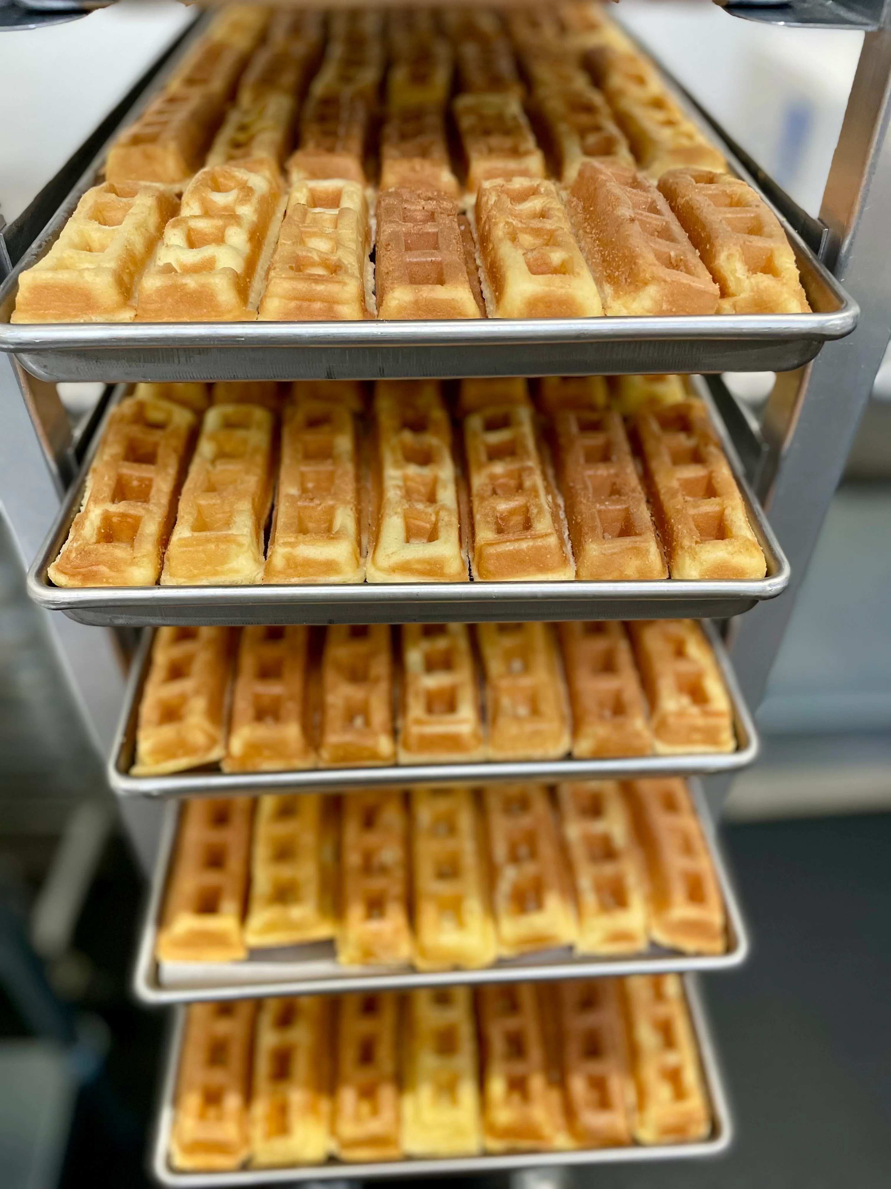 [LIMITED PRODUCTION] Freeze Dried Fully Cooked Belgian Waffle Sticks - Image 6