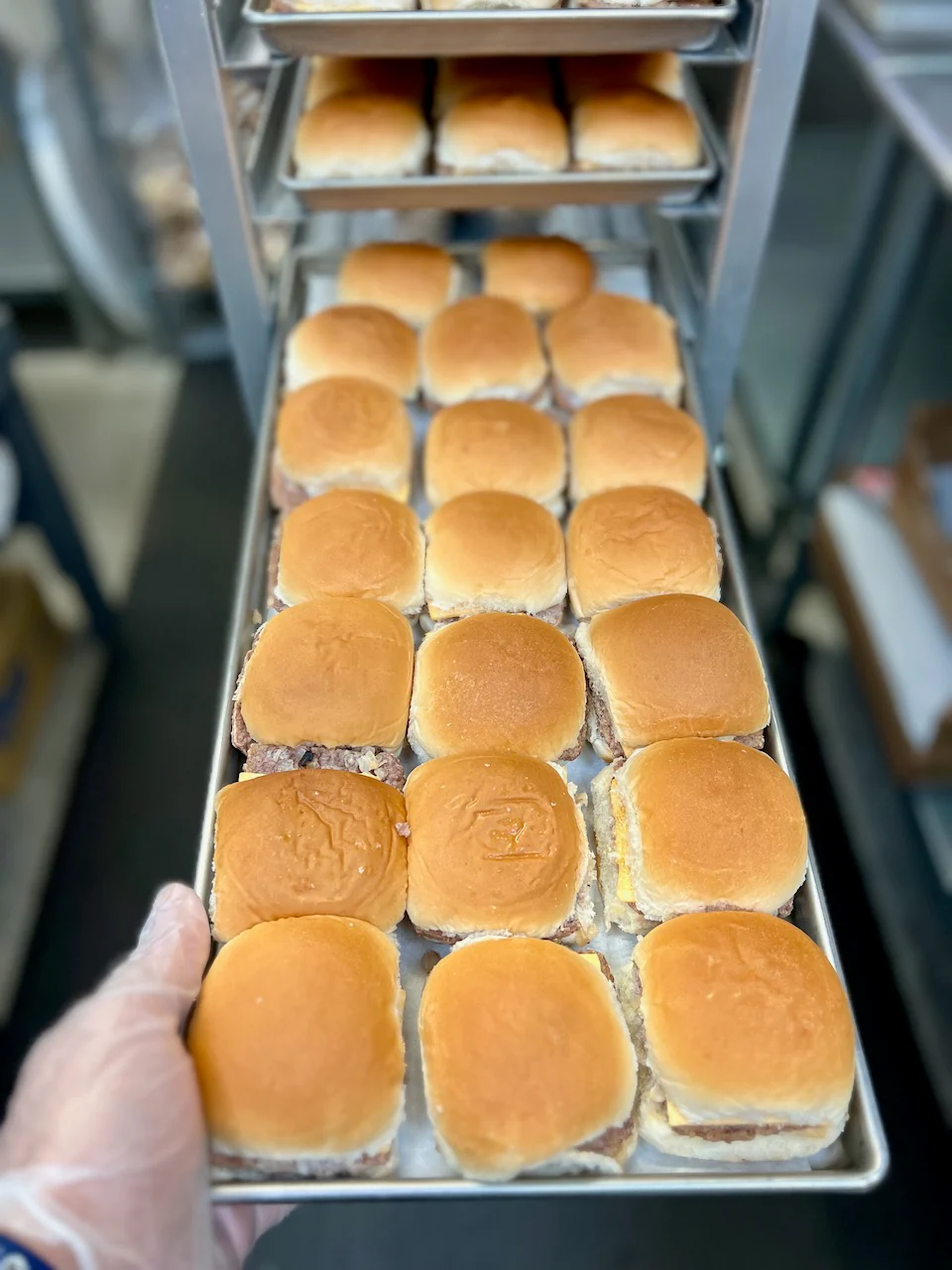 Freeze Dried White Castle Cheeseburger Sliders - Image 6