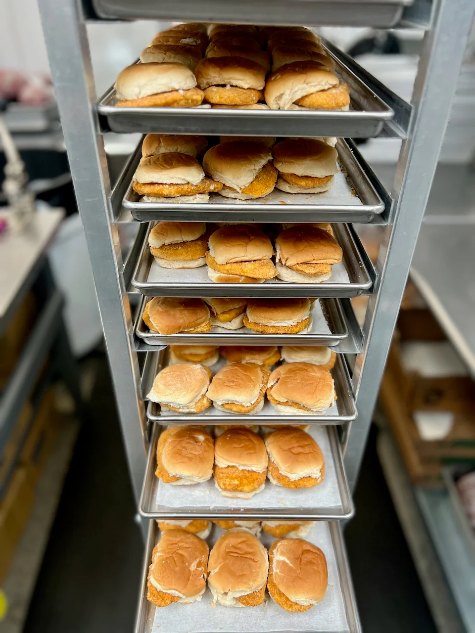 Pre-Sale Freeze Dried Chicken Breast Slider - Image 5
