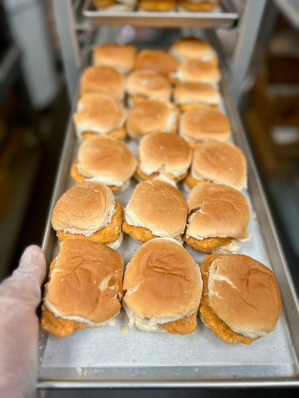 Pre-Sale Freeze Dried Chicken Breast Slider - Image 6