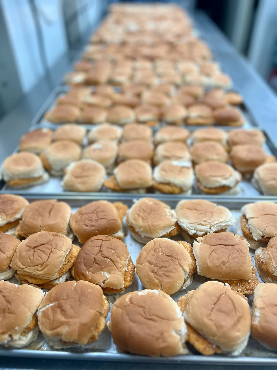 Pre-Sale Freeze Dried Chicken Breast Slider - Image 7