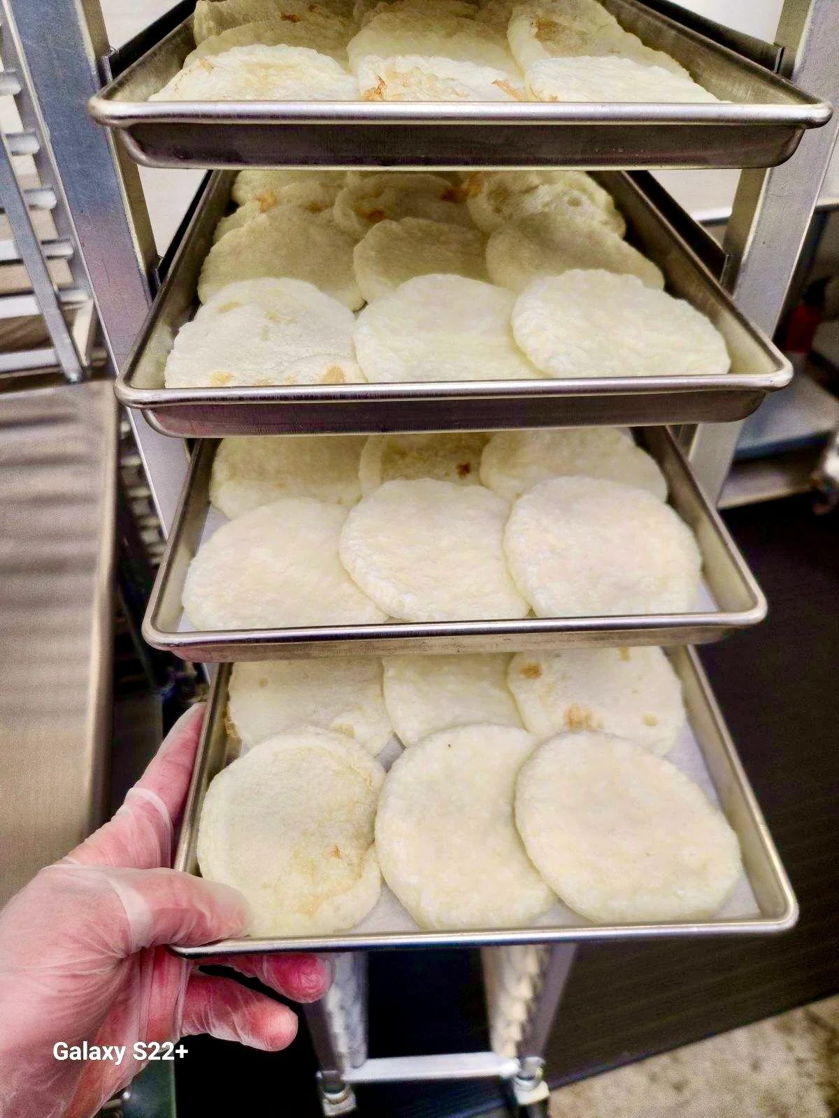 [LIMITED PRODUCTION] Freeze Dried Fully Cooked Fried Egg White Patties - Image 6