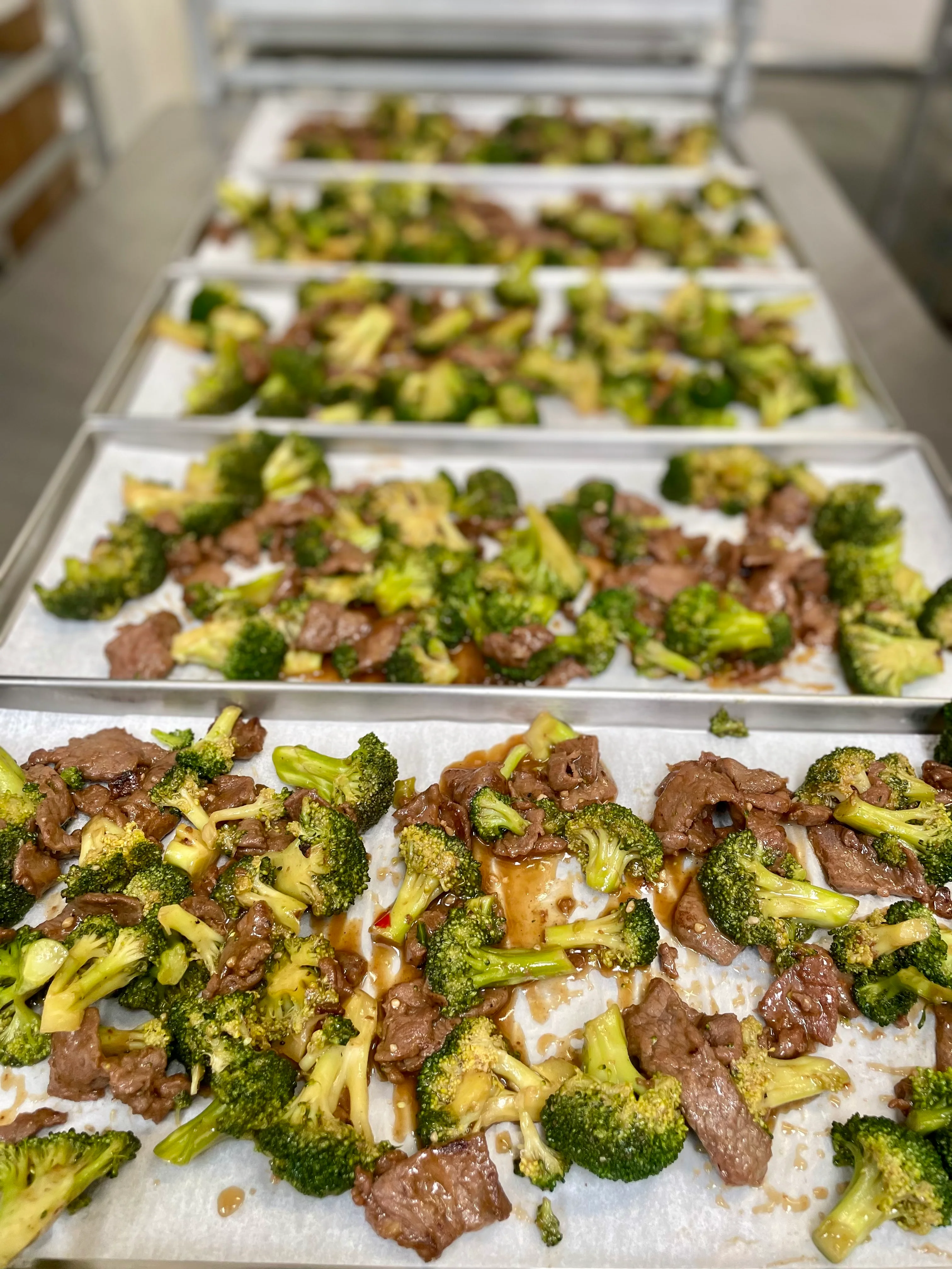 [PRE-SALE] Freeze Dried Gourmet American-Chinese Inspired Fully Prepared Broccoli Beef Entree - Image 5
