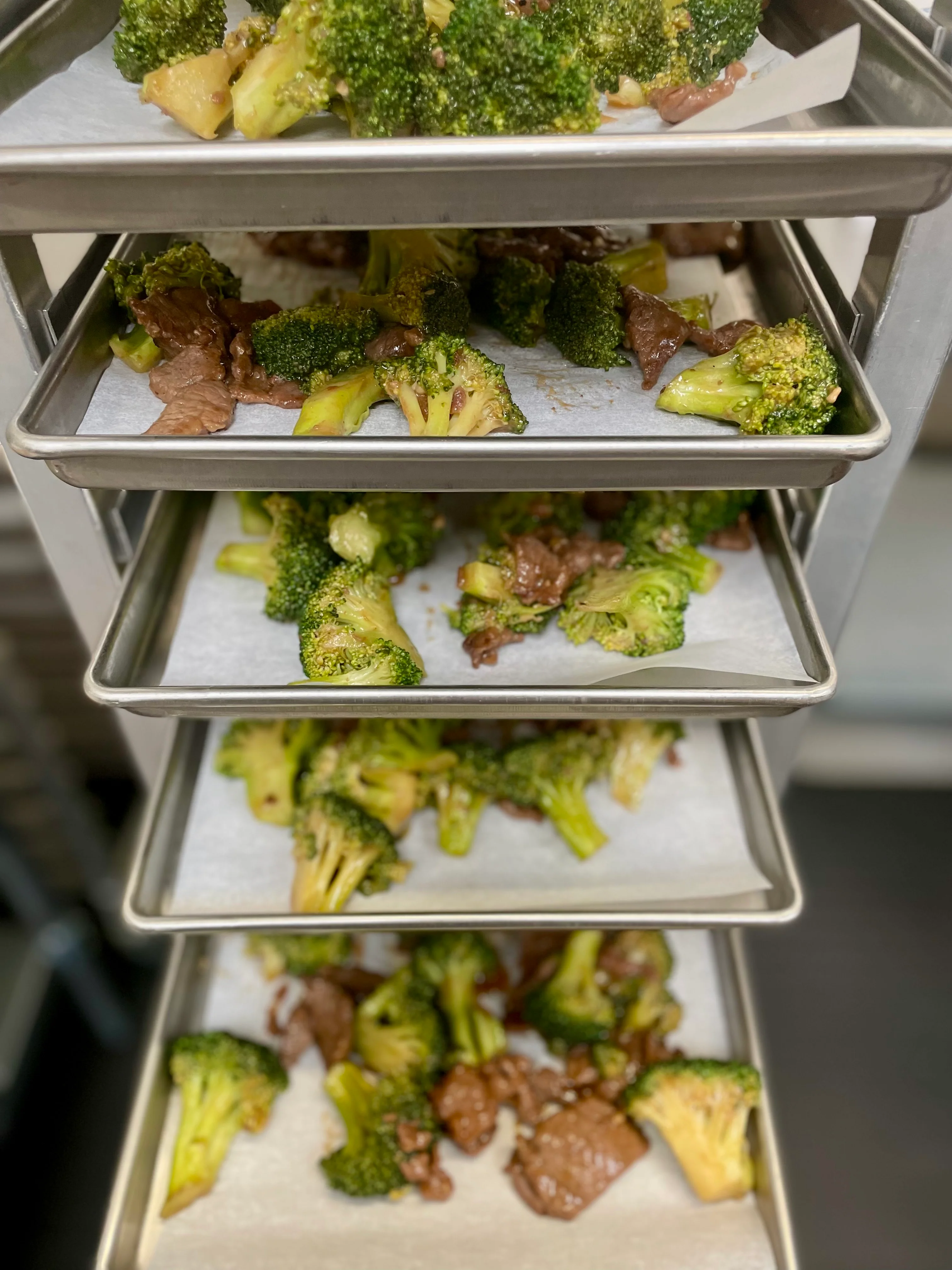[PRE-SALE] Freeze Dried Gourmet American-Chinese Inspired Fully Prepared Broccoli Beef Entree - Image 6
