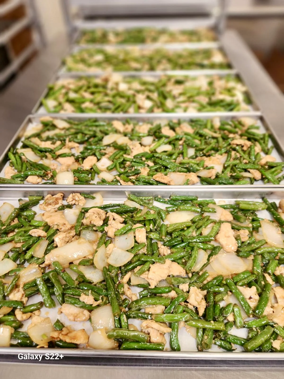[PRE-SALE] Freeze Dried Gourmet American-Chinese Inspired Fully Prepared String Bean Chicken Entree - Image 5