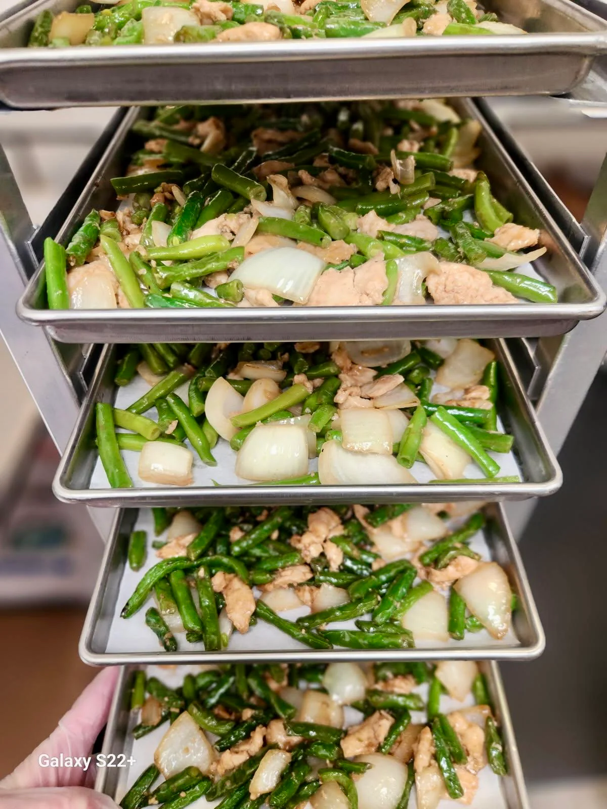 [PRE-SALE] Freeze Dried Gourmet American-Chinese Inspired Fully Prepared String Bean Chicken Entree - Image 6